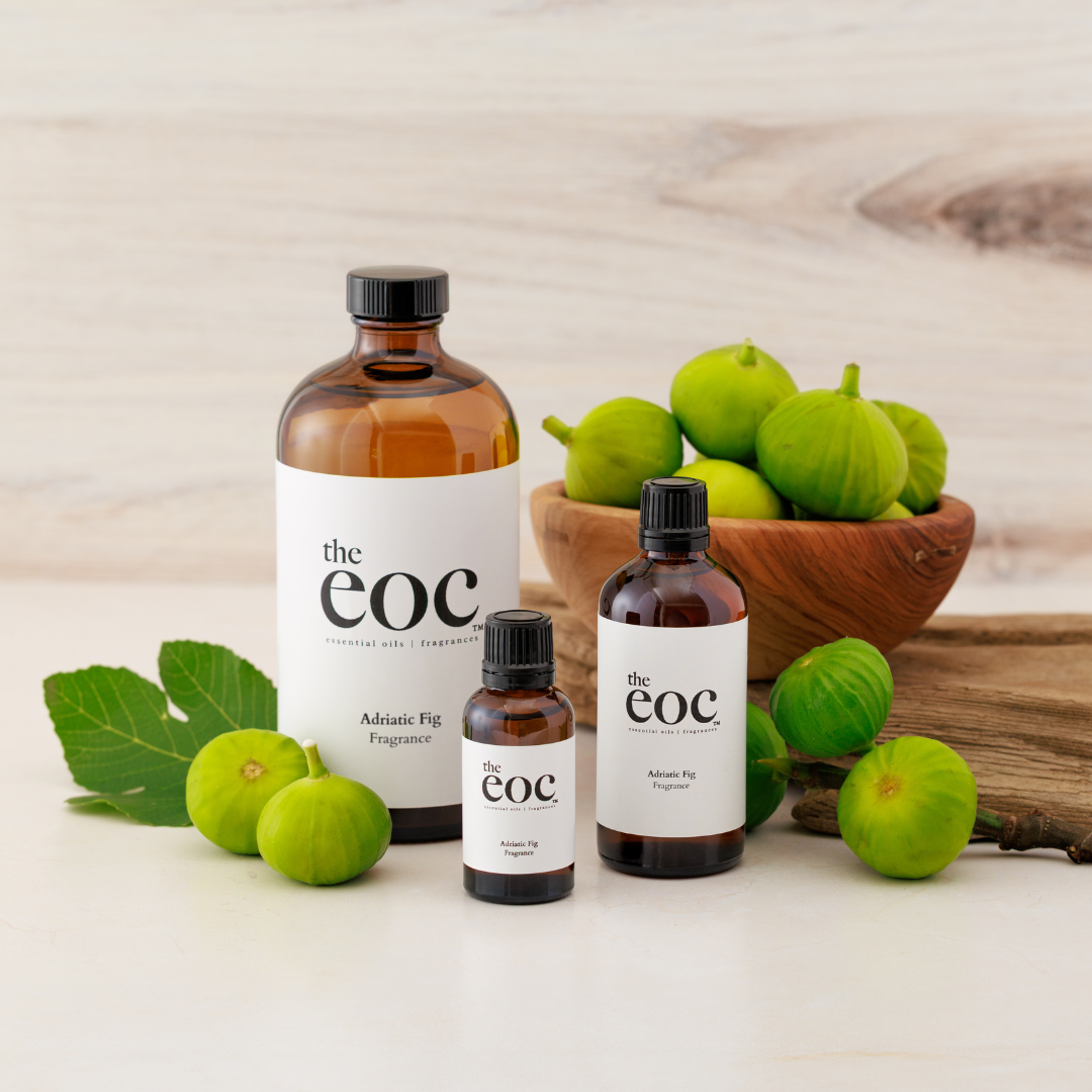 Adriatic Fig