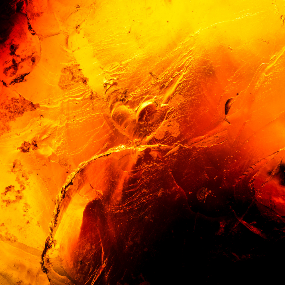 Dark Amber Fragrance Oil - Image 3