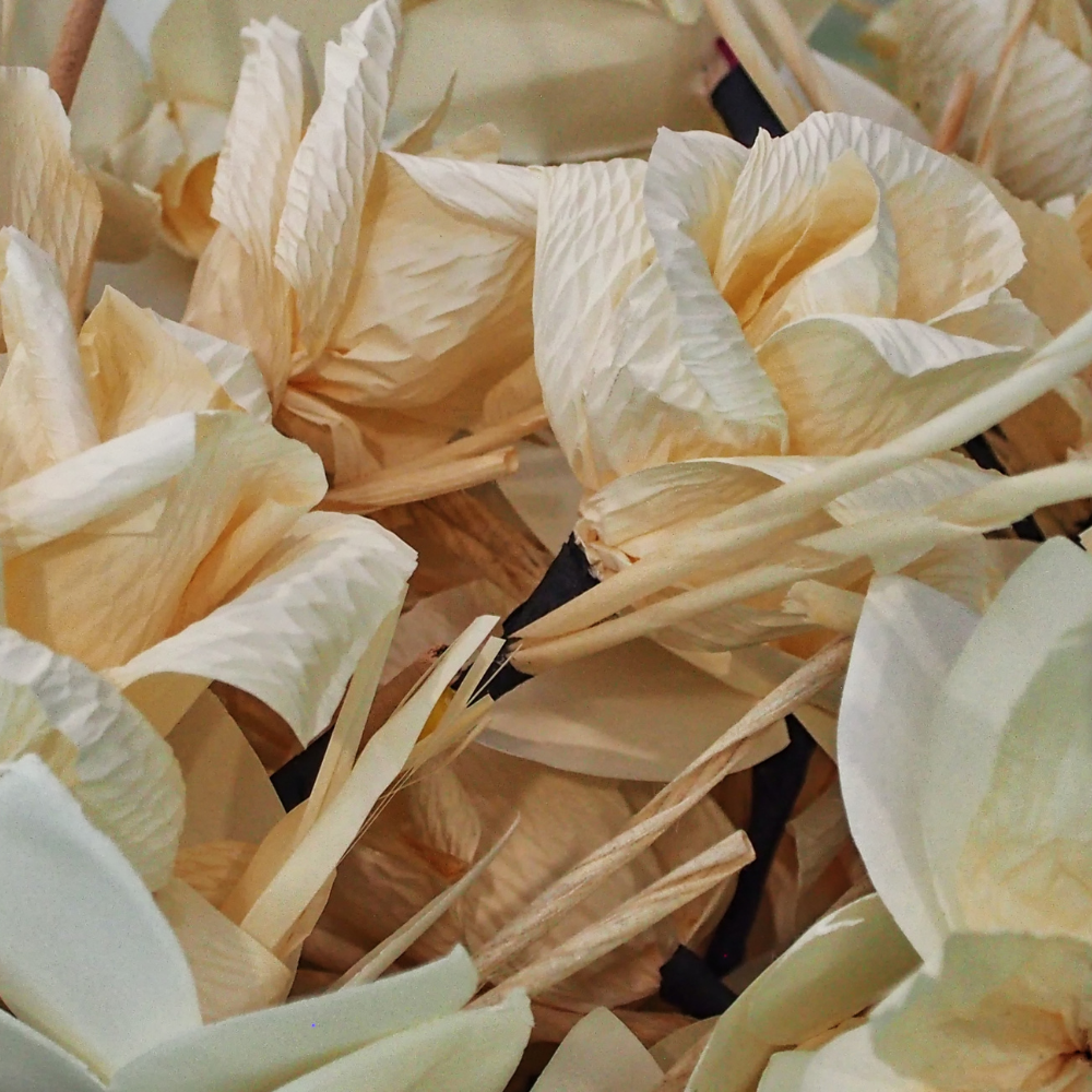 Sandalwood Vanilla Fragrance Oil - Image 2